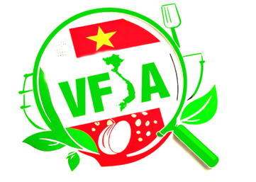 LOGO VFSA - Ảnh 3