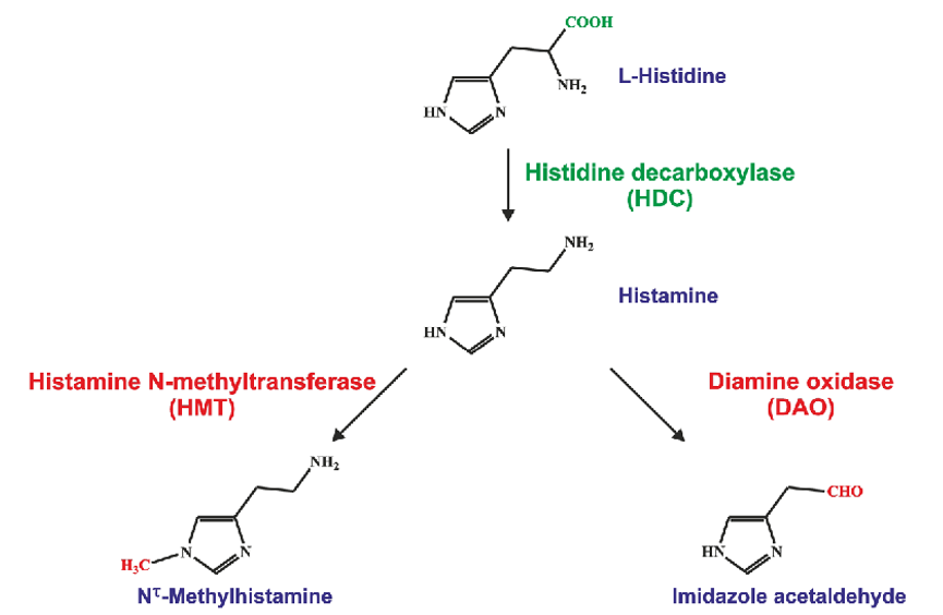 risk-assessment-of-histamine-poisoning-from-scombridae-fish