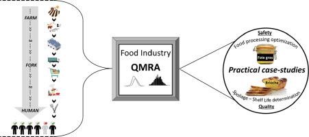 risk-assessment-of-salmonella-in-food-2